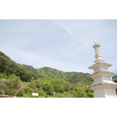 테스트 상품